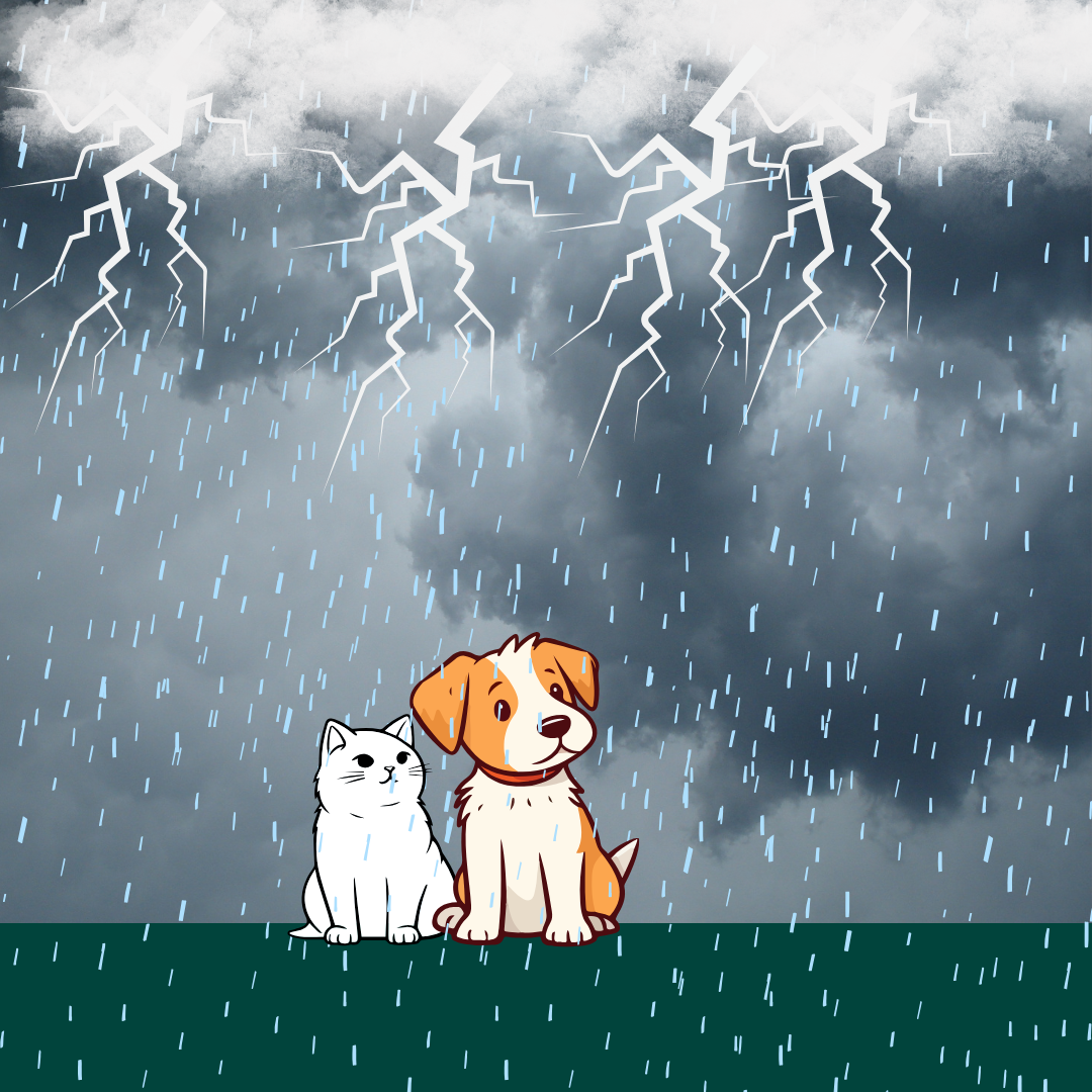 strom safety