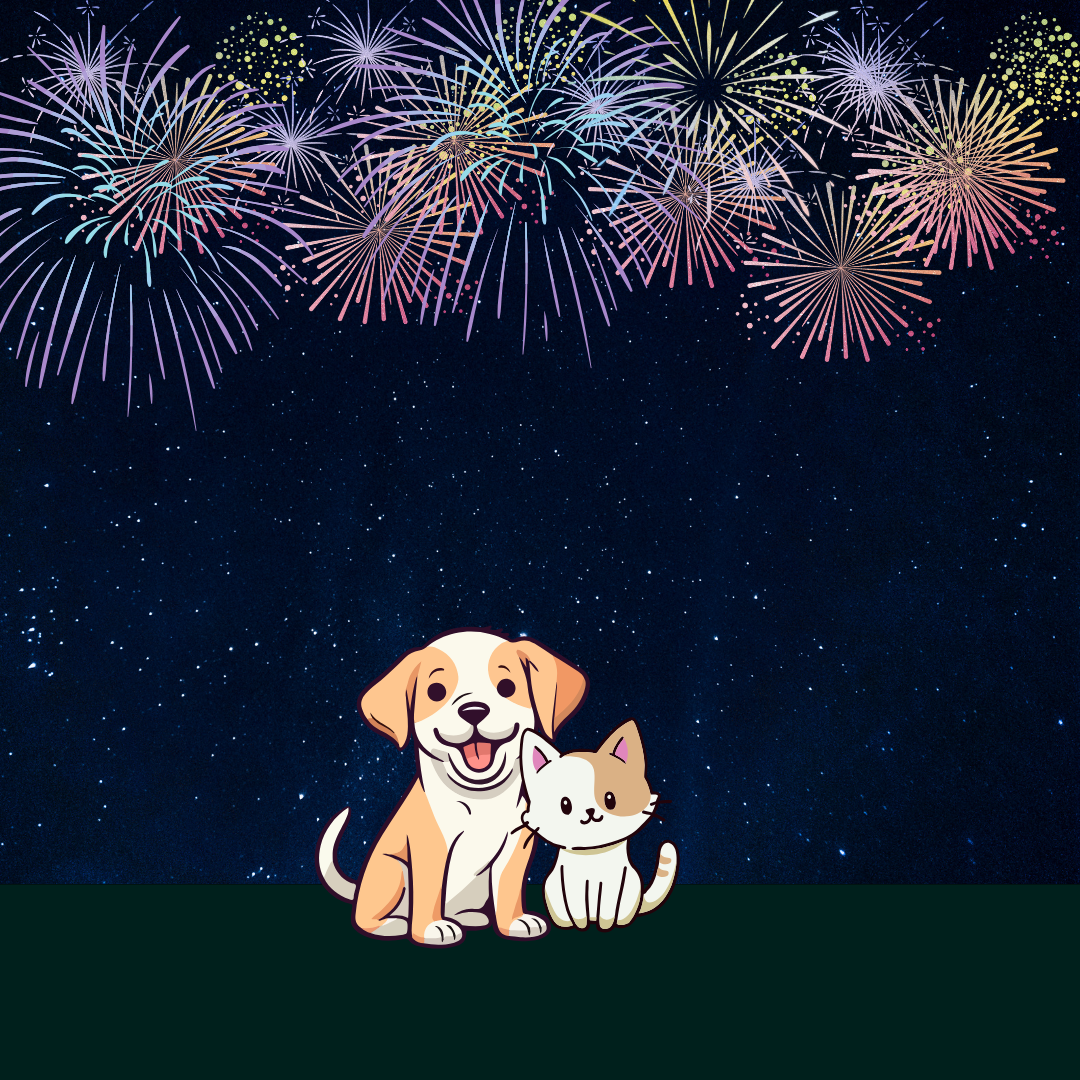 fireworks safety