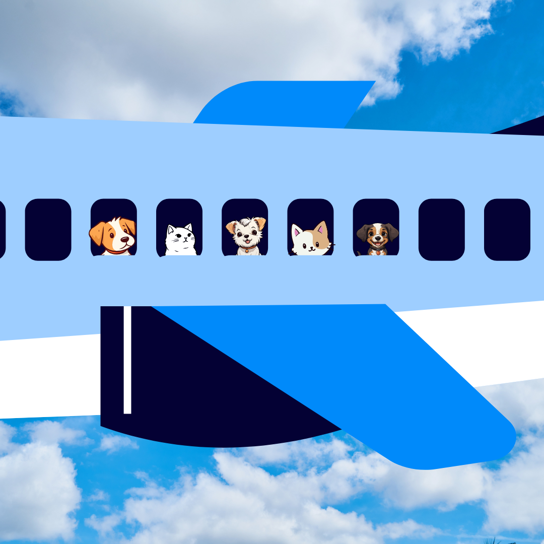 flying with your pets