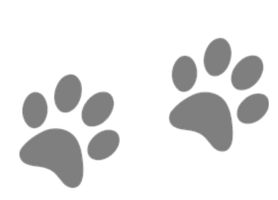 paws